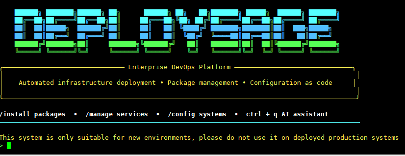 DeploySage CLI Demo 1