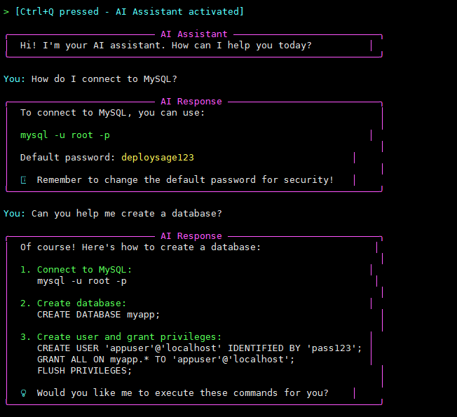 DeploySage CLI Demo 2
